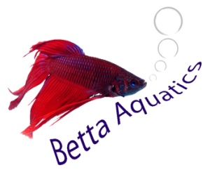 Betta Aquatics - Fish, Reptiles, Aquariums, Ponds